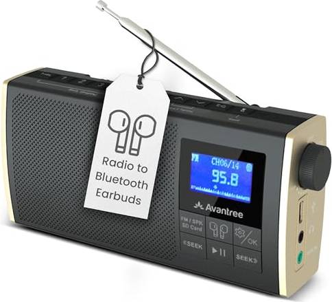 Enceinte Radio FM Bluetooth Portable