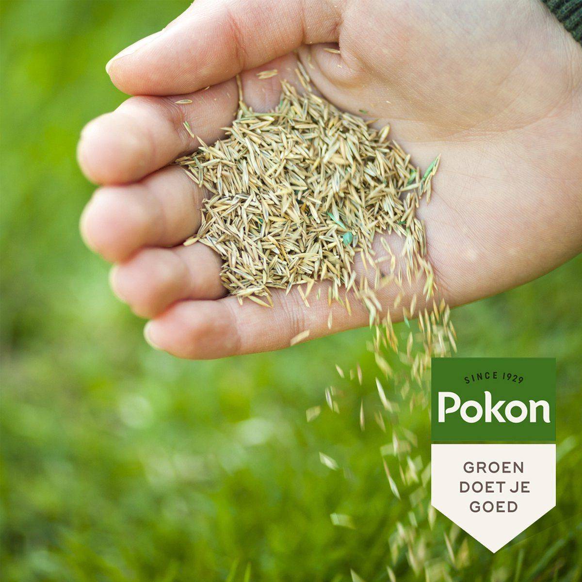Pokon Graszaad Inzaai 500 Gram RPR