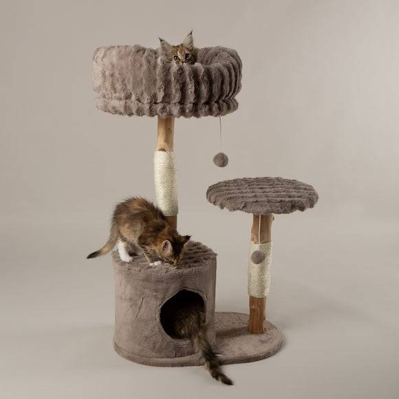 Colorado Cat Scratching Tree