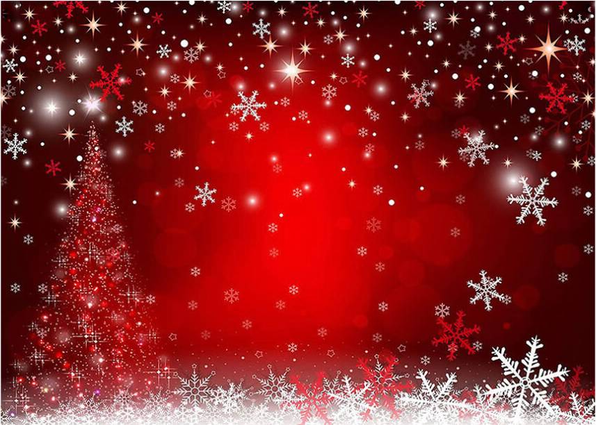 Christmas Tree Background For Photo Booth