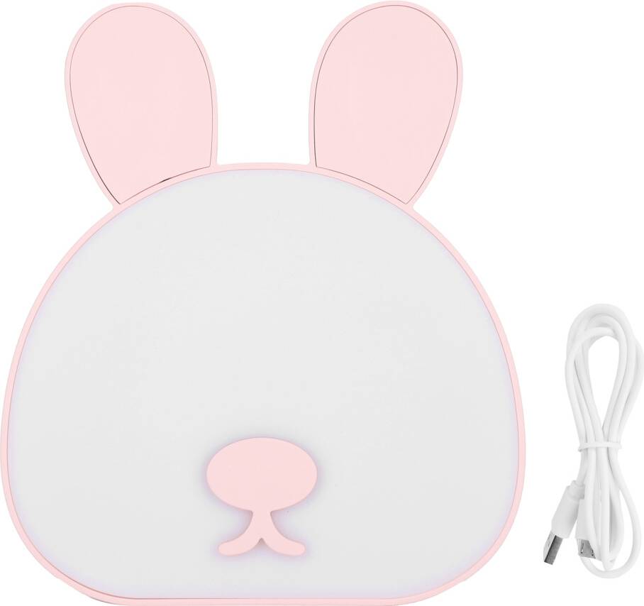 Touch Control LED Bedside Lamp Companion Night Light