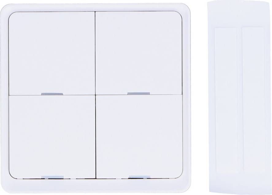 Home assistant voice Intelligent Scene Switch Smart Life