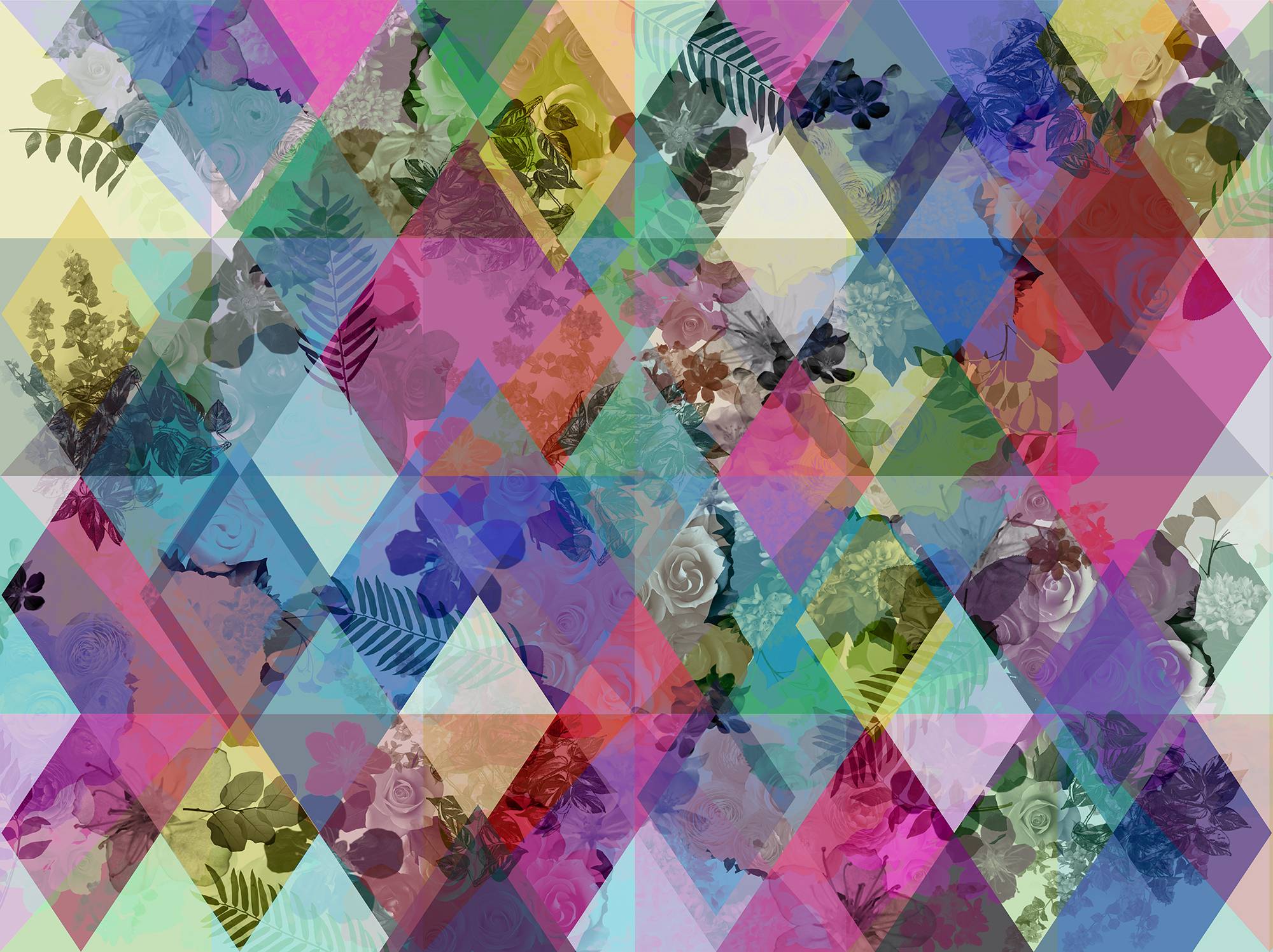 Rebel Walls Harlequin Roses