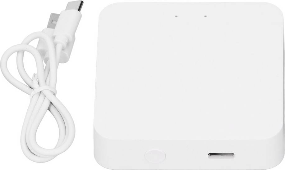 Smart home devices Smart Home Conductor With Multi-Protocol Communication