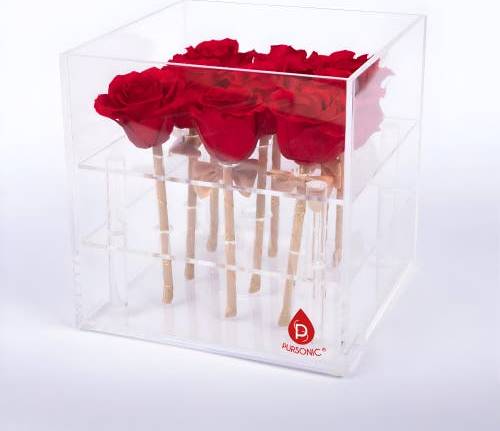Pursonic 9 Preserved Roses Acrylic Box Red