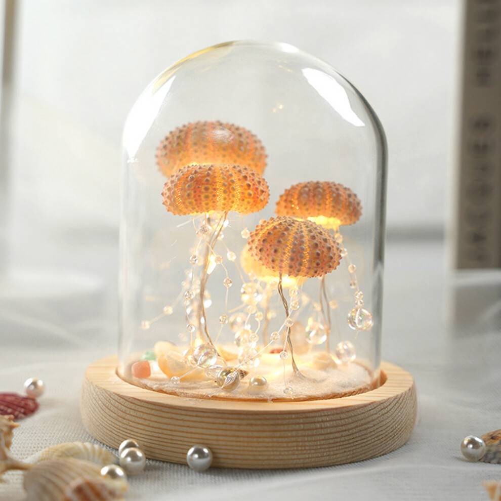 Jellyfish Shell Night Light
