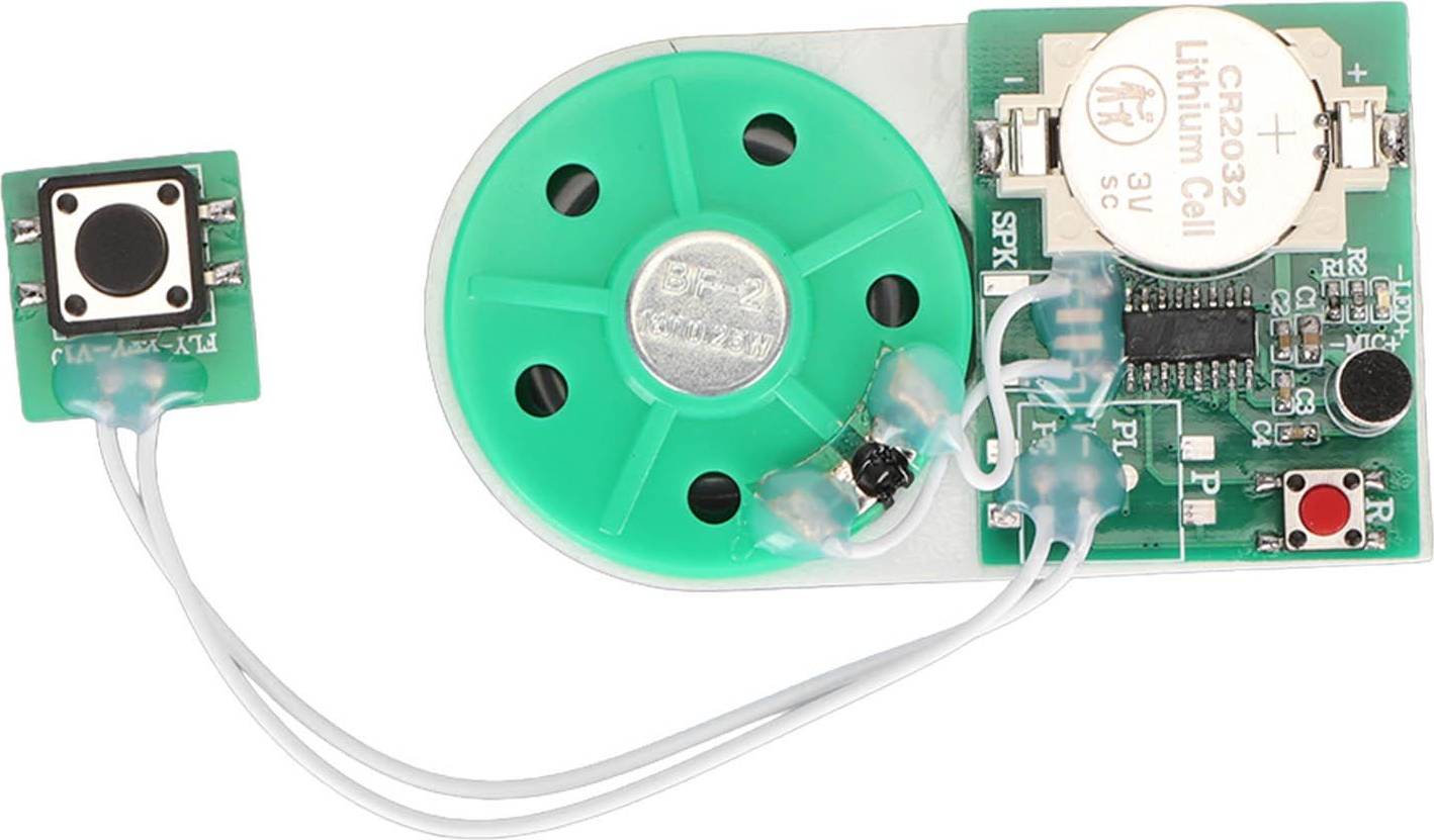 25 Second Recording Playback Module