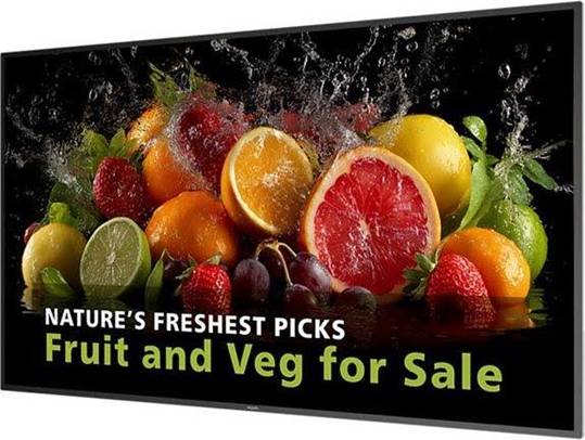 Platt tv 65 tum philips Philips 65BDL5050D 65 Inch LED Backlit LCD Display