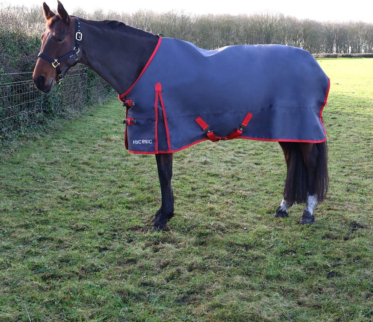 Hyconic Turnout Rug