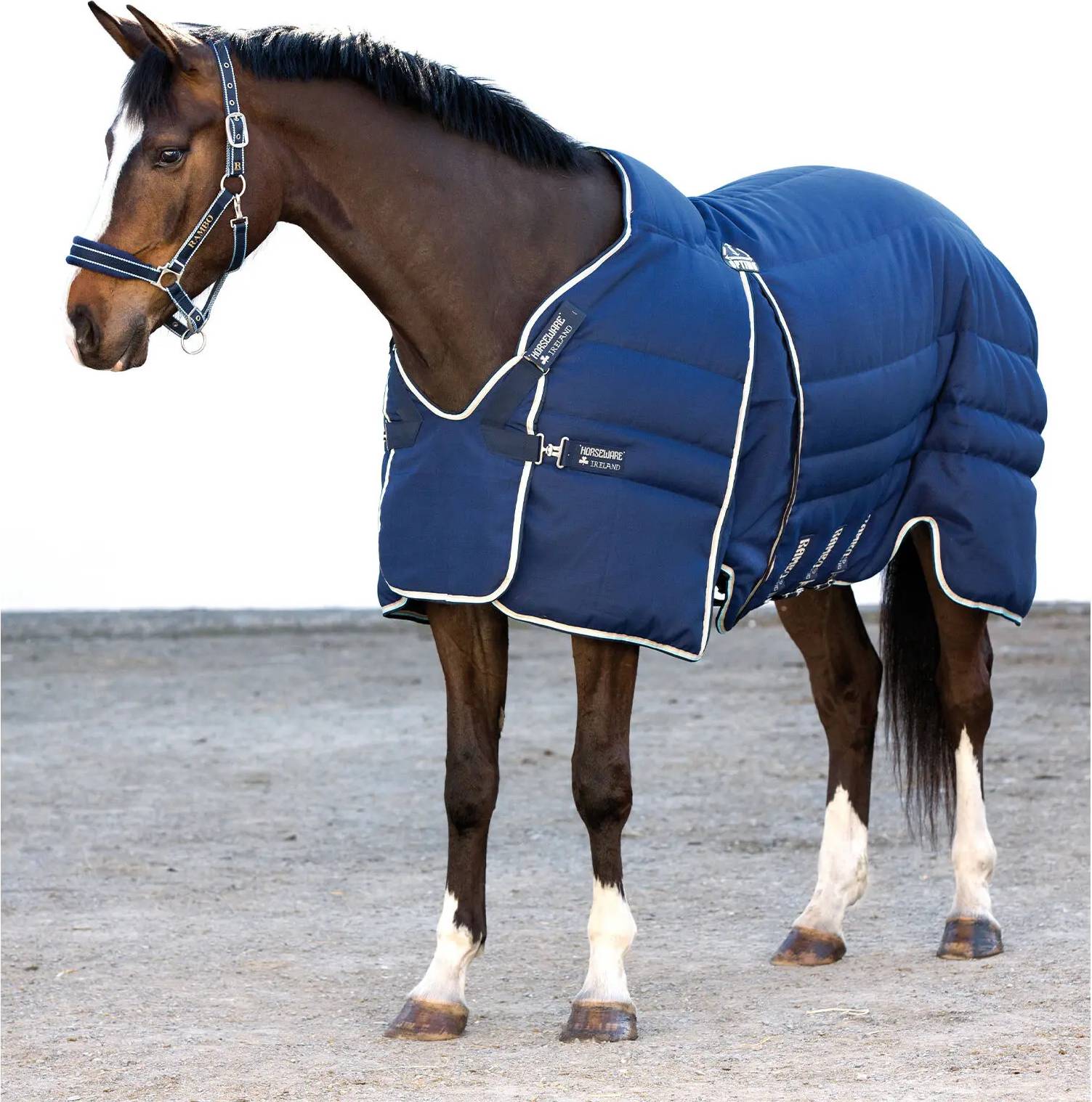 Coperta Da Box Per Cavalli Rambo Optimo 400g - Blu