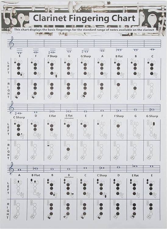 Professional Chord Finger Guide Clear Chart