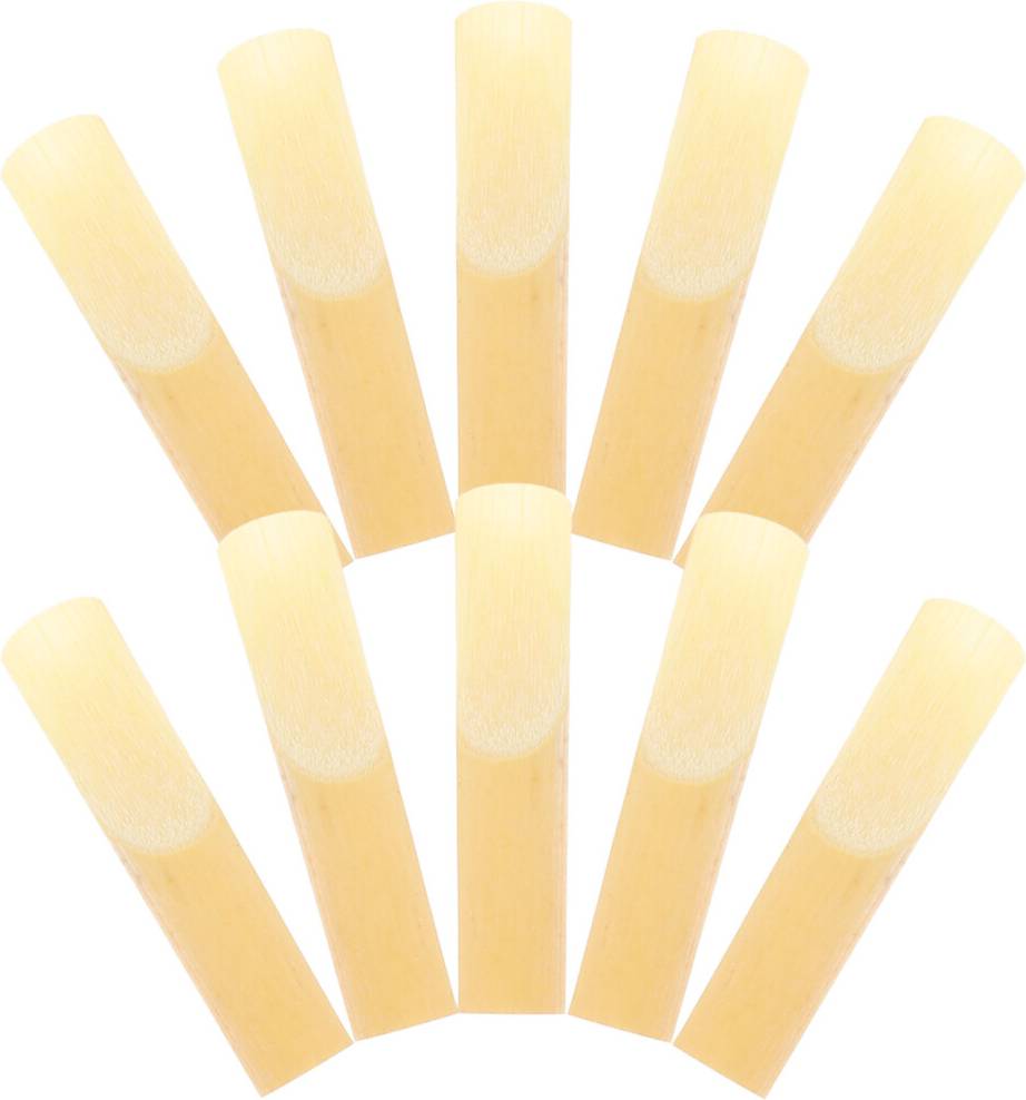 Solustre 10 Pcs Reeds for Instrument