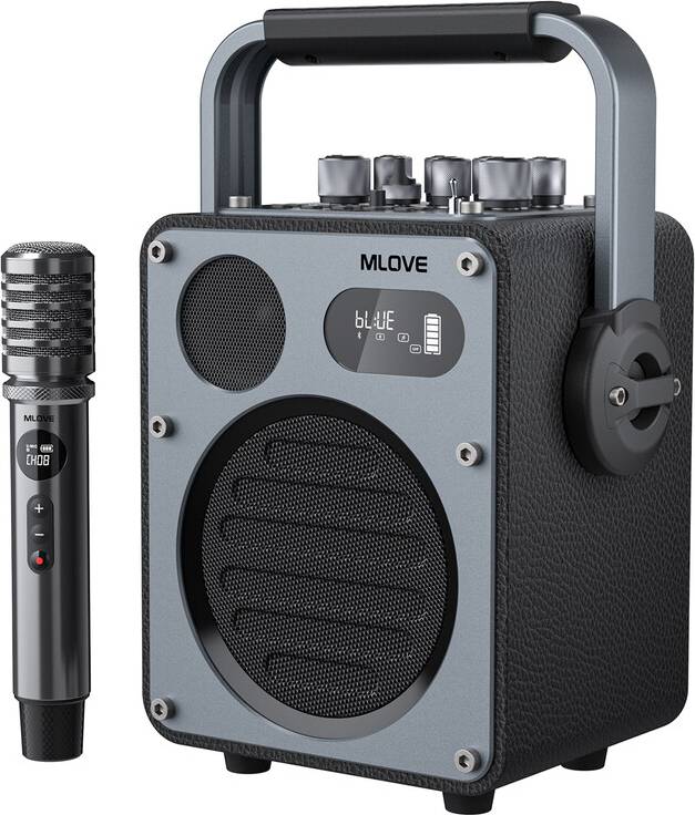 D4 Bluetooth Karaoke Speaker System