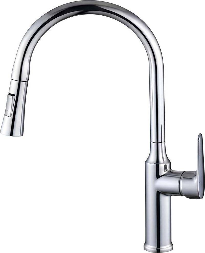 Avizar Extendable Kitchen Faucet Retractable Nozzle