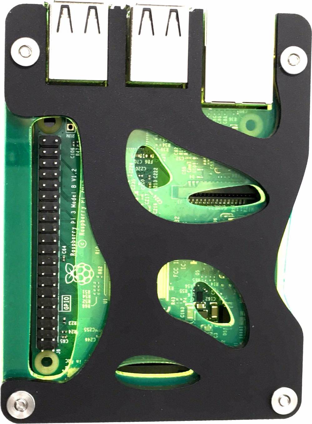 Zebra Bio Black Lime Case Raspberry Pi 3b Pi 2 Pi B+ C4labs