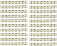 Kalimba 20 Pieces Kalimba Scale Note Sticker