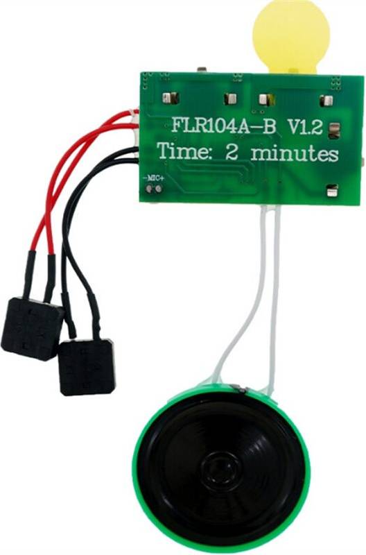 DIY Greeting Card Voice Recording Module