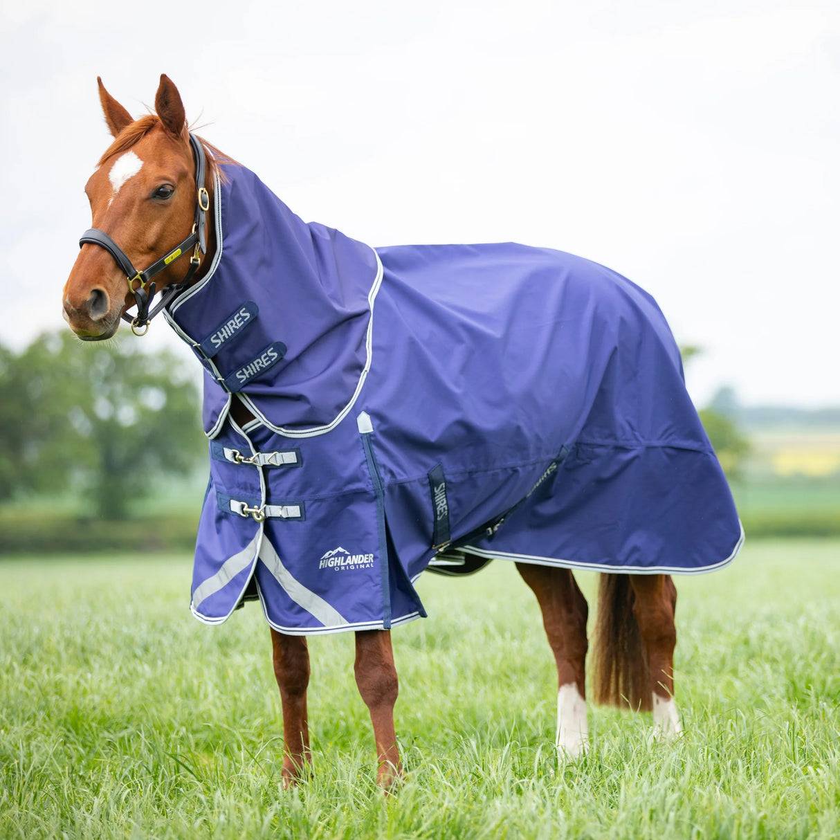 Shires Highlander Original Lite Turnout Rug Neck