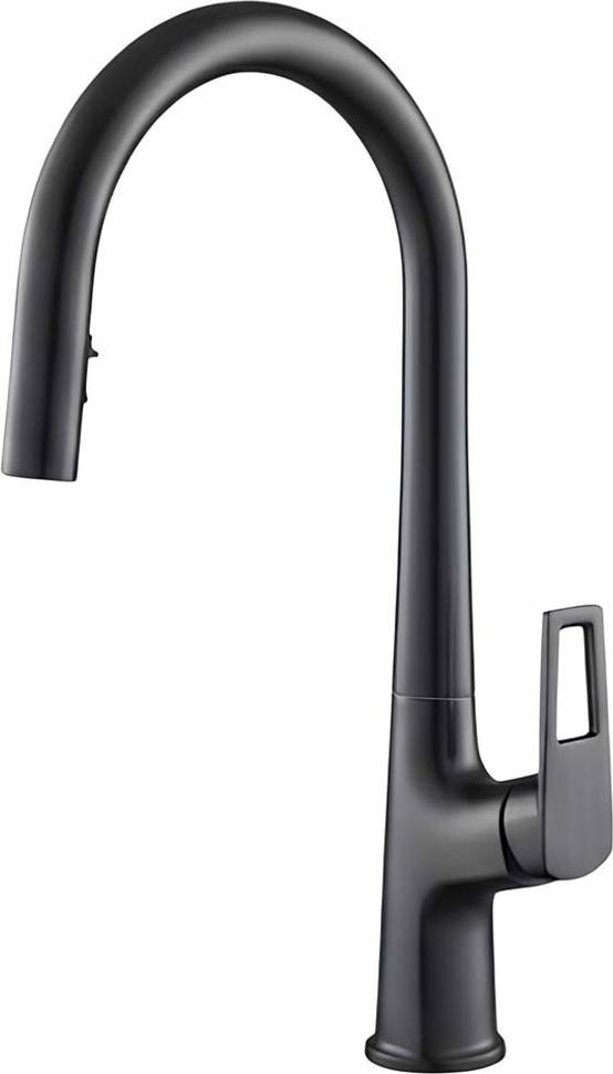 Avizar Extendable Dual-Function Kitchen Faucet