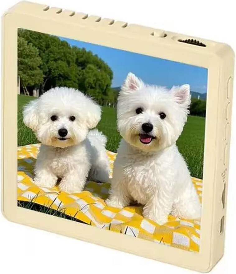 Personalized Music Magnet Photo Frame