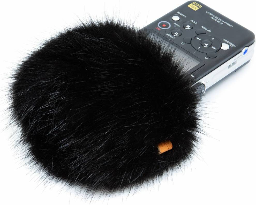 Windkiller SE Portable Recorder