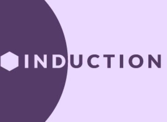 Induction PC Steam Key