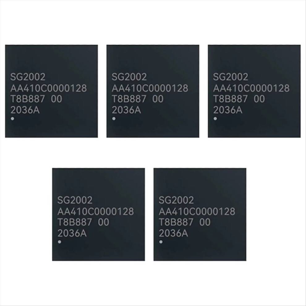 SG2002 256M High Performance Chip