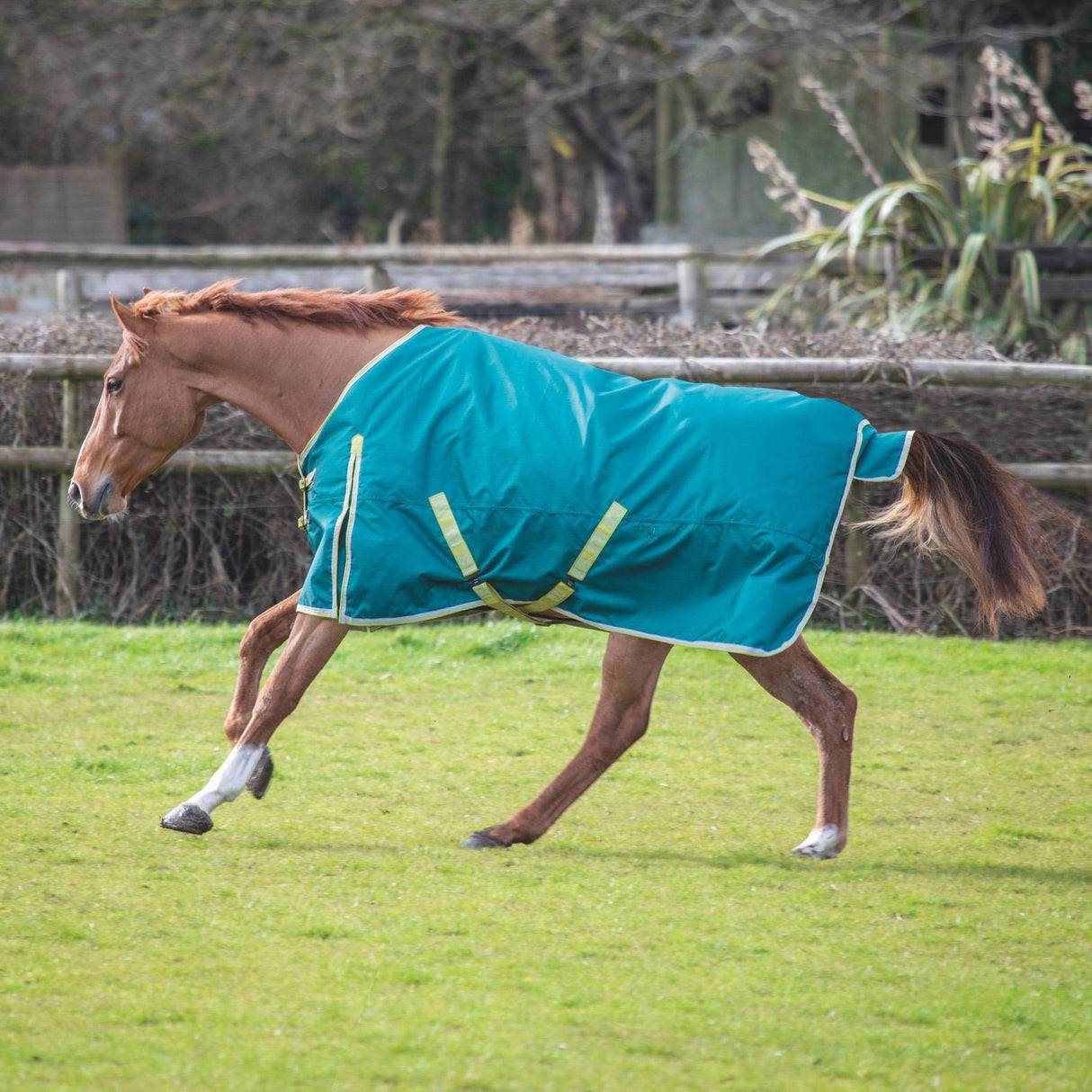 Ontario Turnout Rug 100g