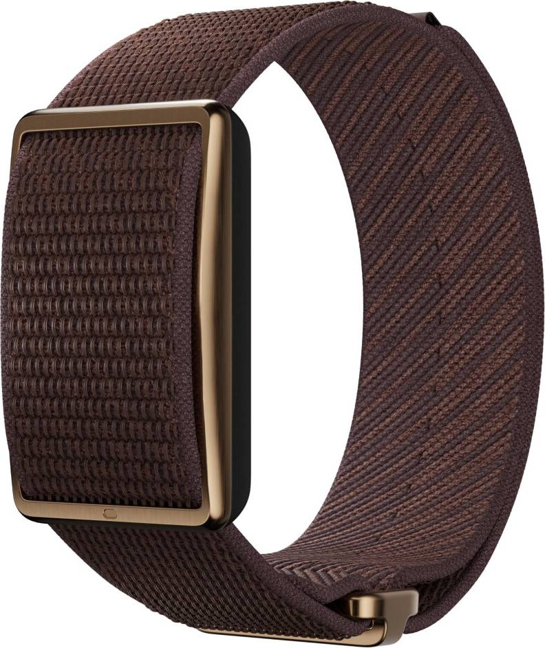 Polar Loop ScreenFree Wellness Tracker