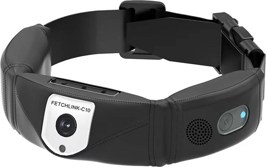 Wireless GPS Pet Dog Fence System