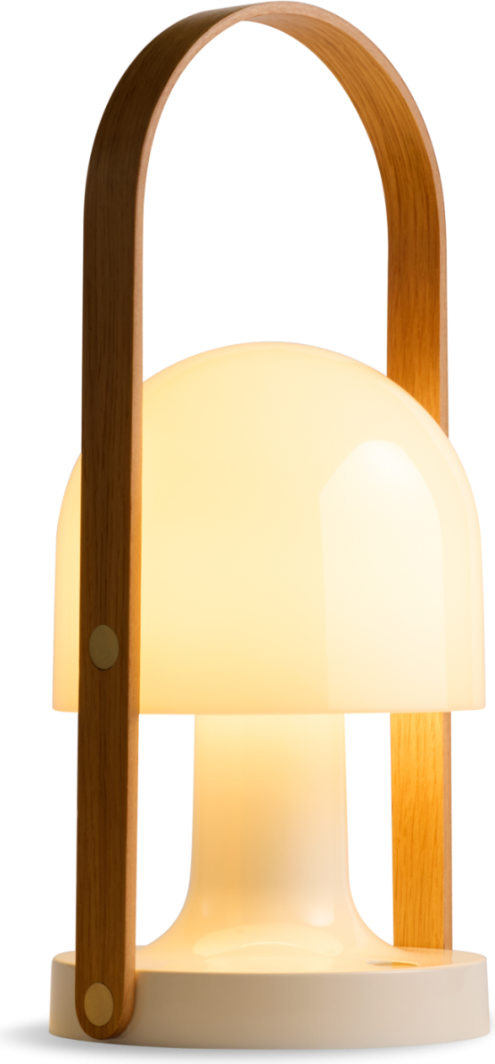 FollowMe LED Outdoor USB-C Oak