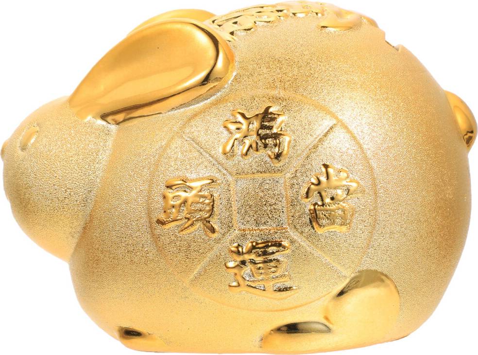 Solustre 5Pcs Rabbit Shaped Piggy Bank Coin