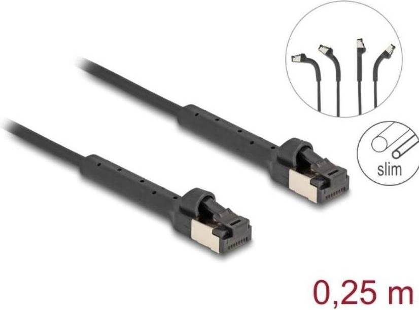 DeLock Patchkabel RJ-45 to RJ-45 Han 25 cm Cat 6a
