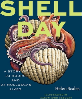 Shell Day