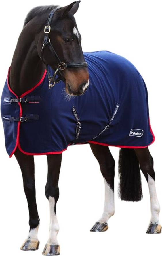 Whitaker Rastrick V2 Standard-Neck Horse Fleece Rug - Navy