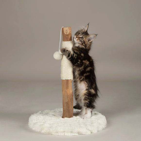 Scruffs Andes Cat Scratching Tree