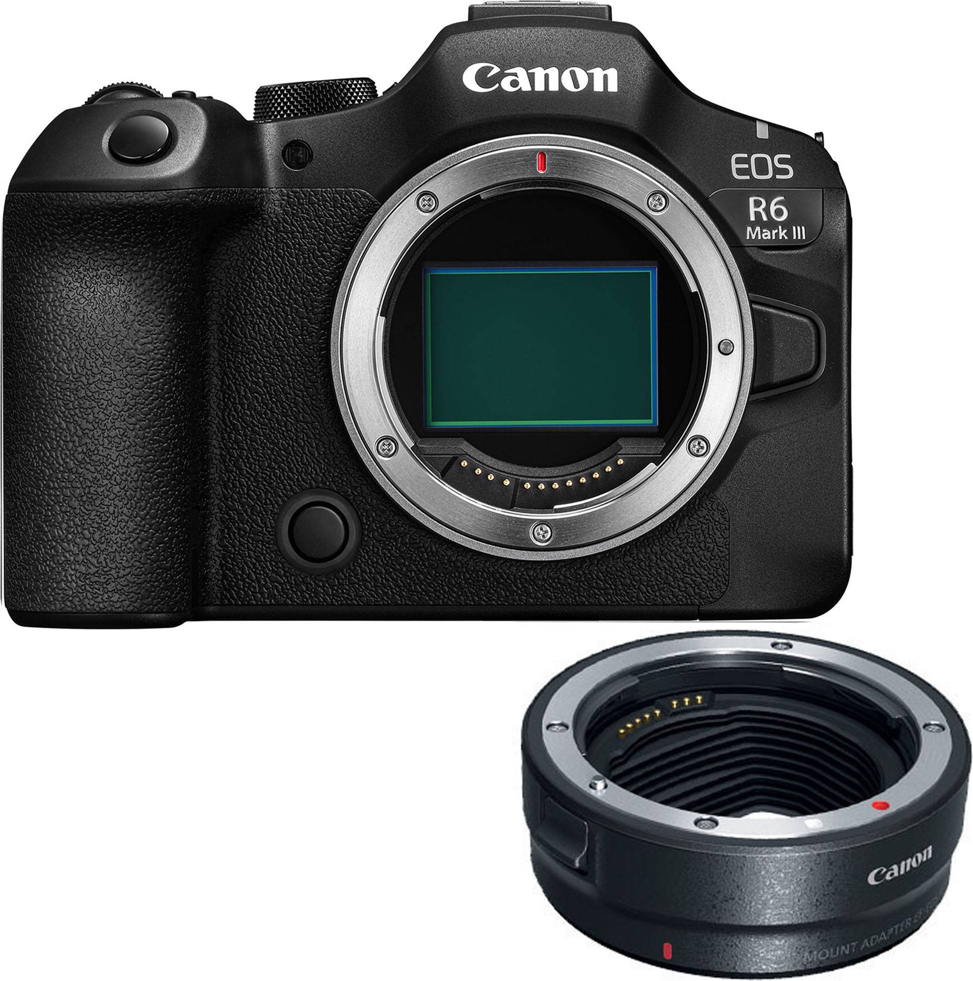 Canon mount adapter ef eos r Canon EOS R6 Mark III Mirrorless Camera Body