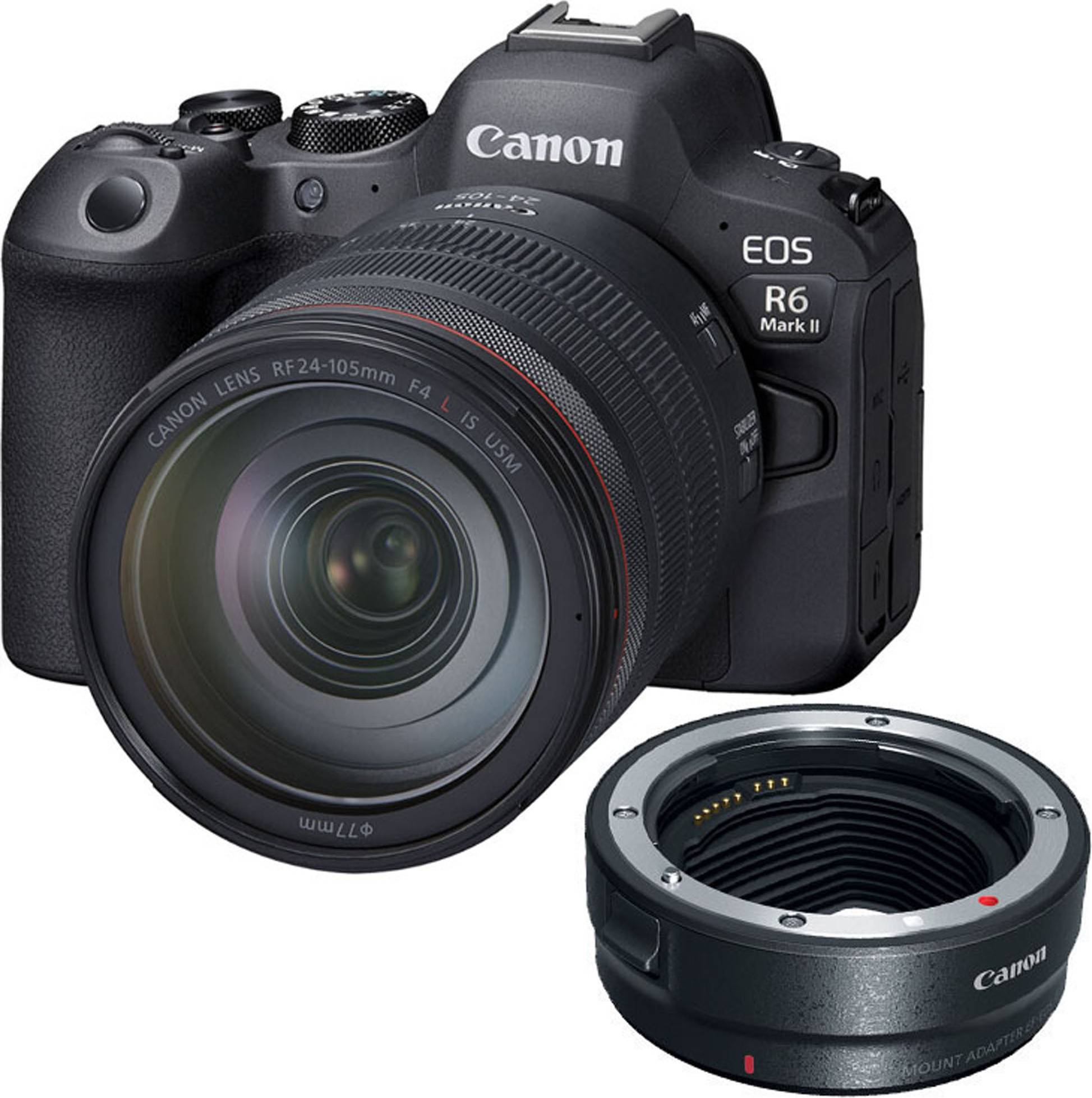 Canon mount adapter ef eos r Canon EOS R6 Mark II Mirrorless Camera