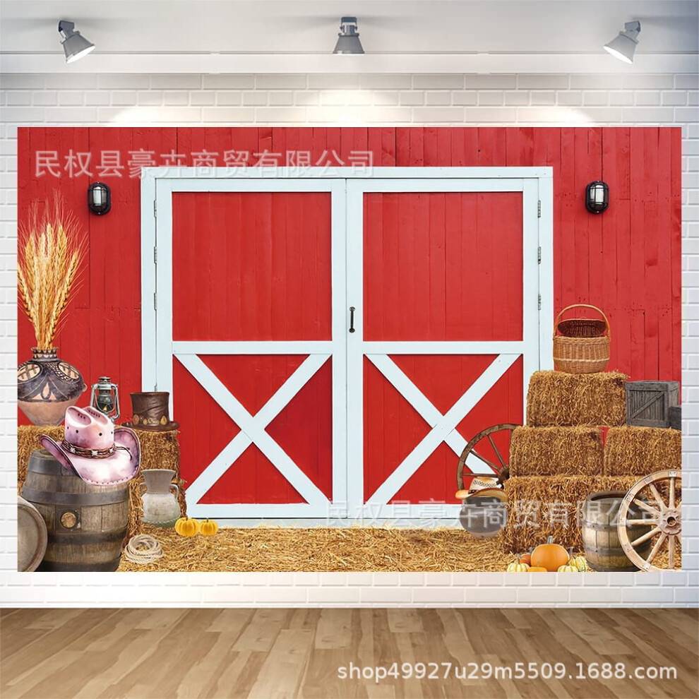 Western Rustic Barn Door Backdrop