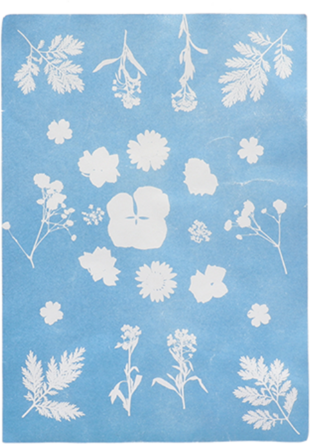 Esschert Design DIY Solar Paper Photo A4
