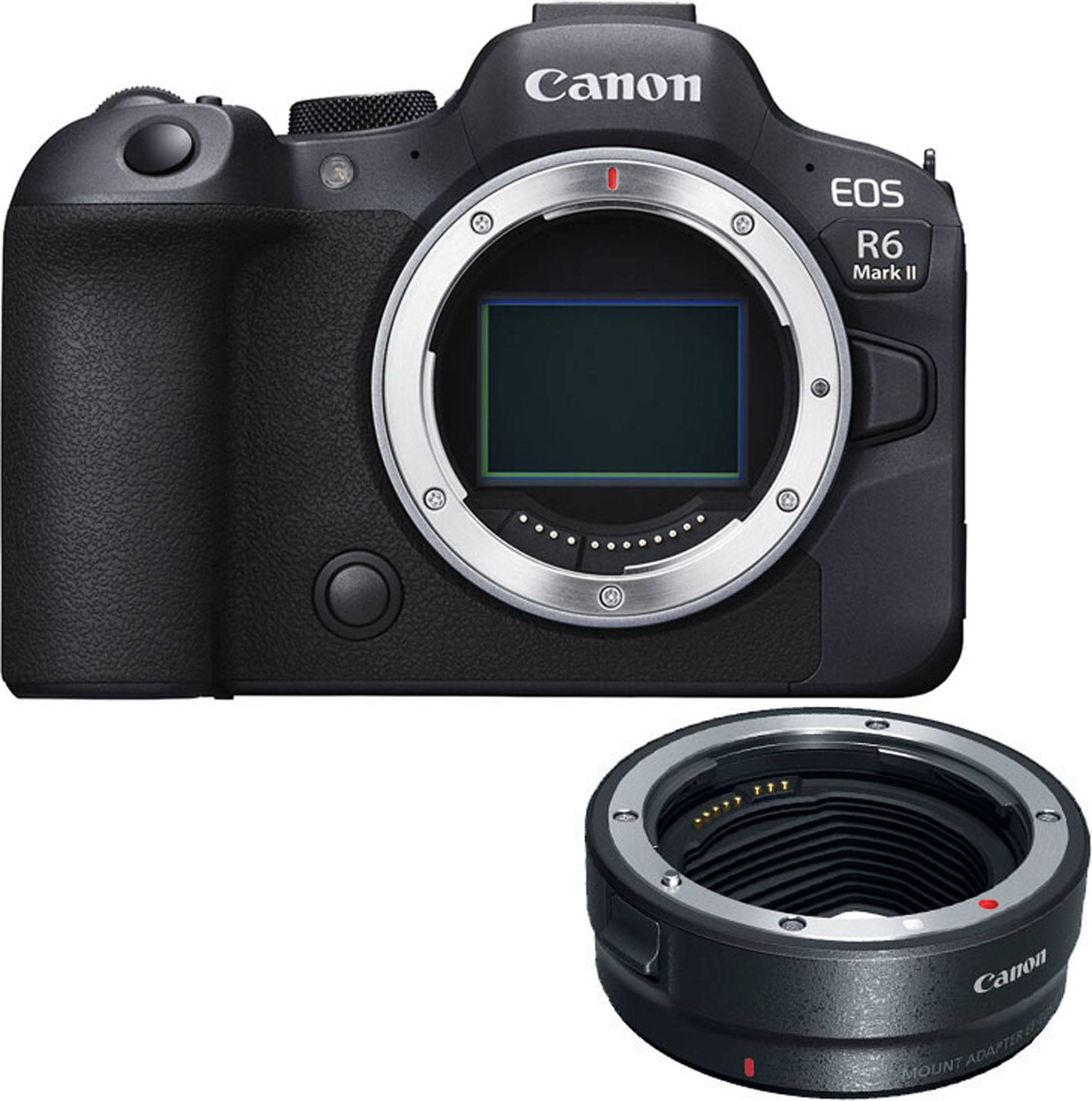 Canon mount adapter ef eos r Canon EOS R6 Mark II Mirrorless Camera Body