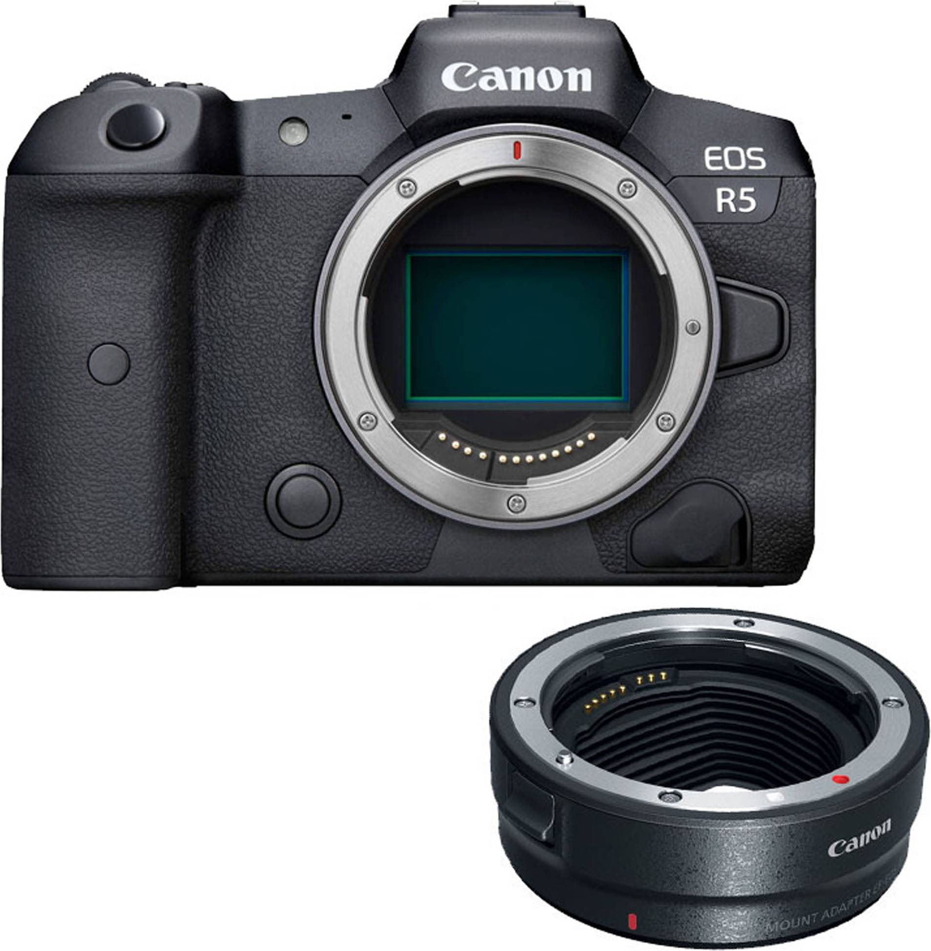 Canon mount adapter ef eos r Canon EOS R5 Mirrorless Camera Body with Mount Adapter
