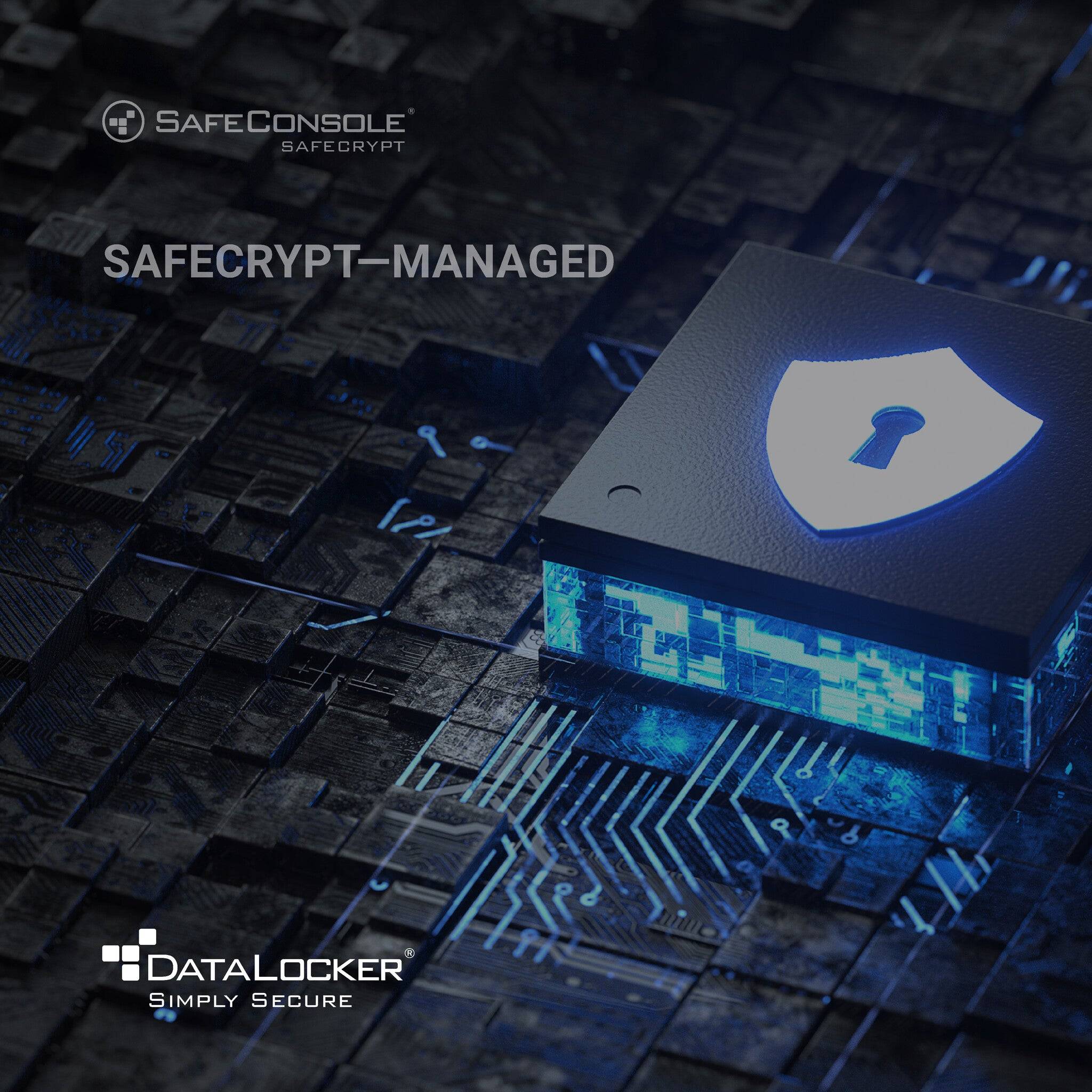DataLocker SafeCrypt Managed 1 Year