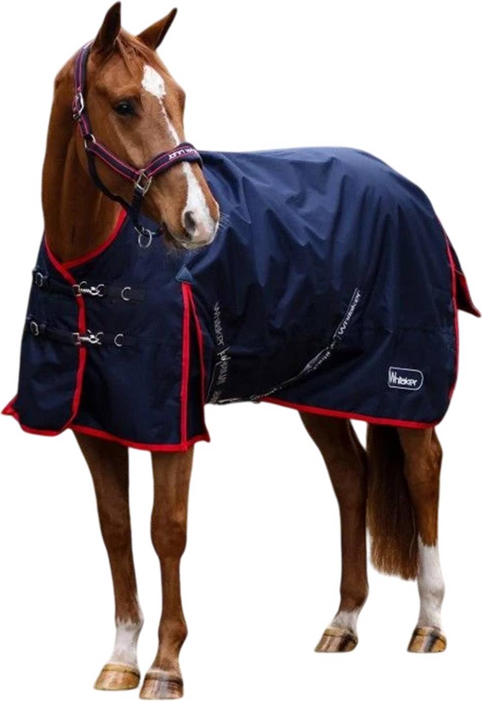 Whitaker Rastrick V2 Standard-Neck Horse Turnout Rug - Navy