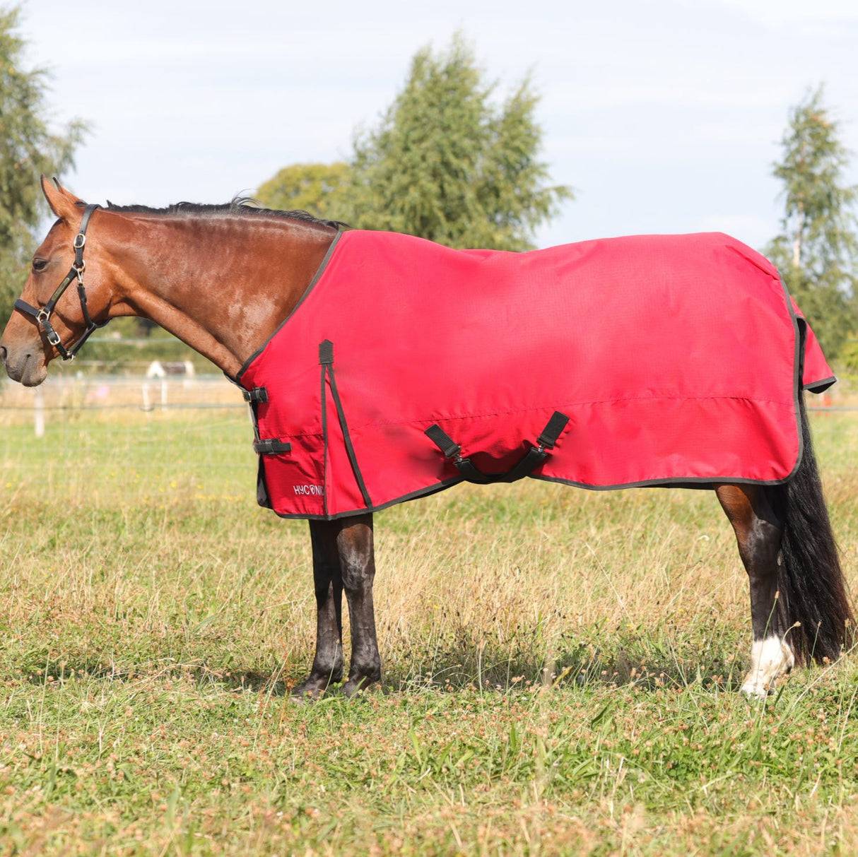 HY CONIC Turnout Rug