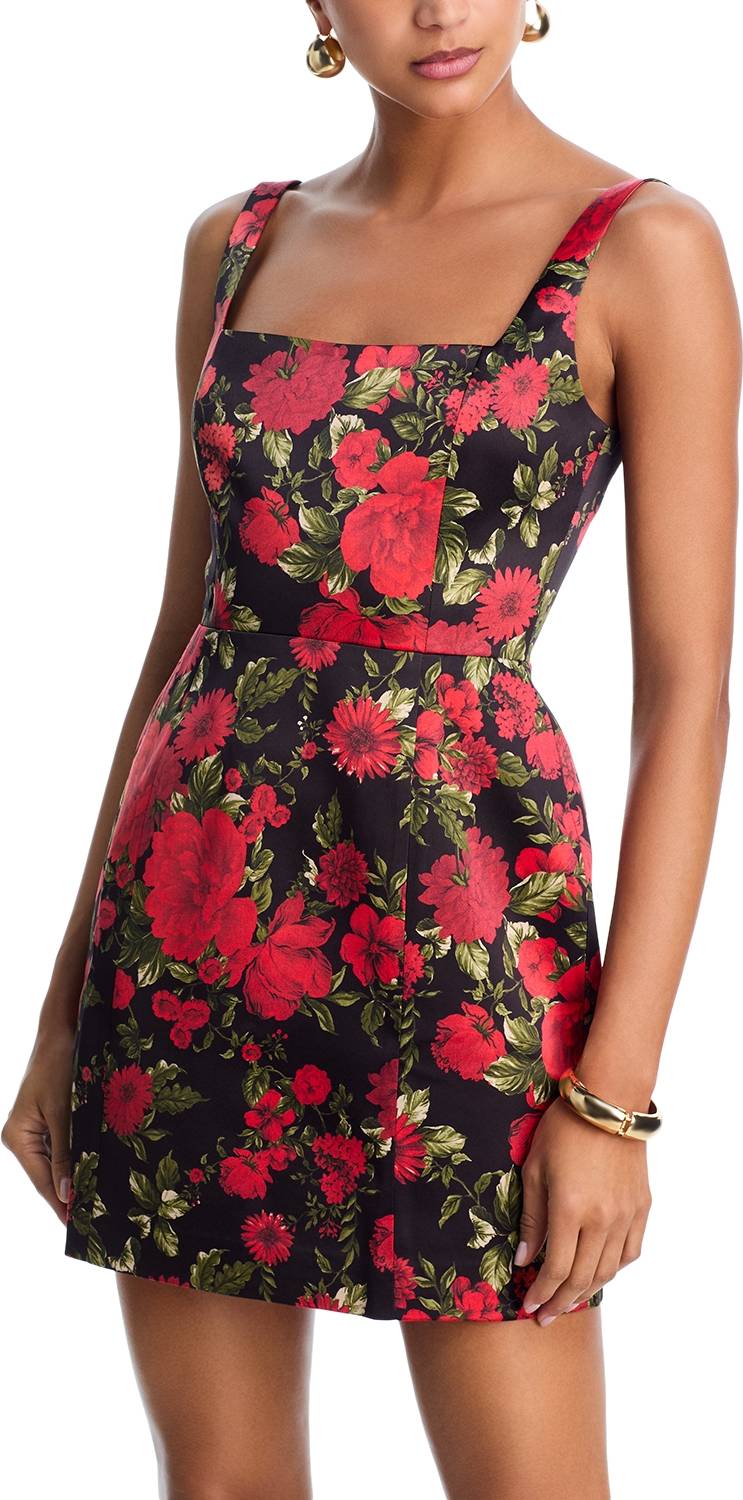 Red roses Wayf Clara Mini Dress - Red Roses
