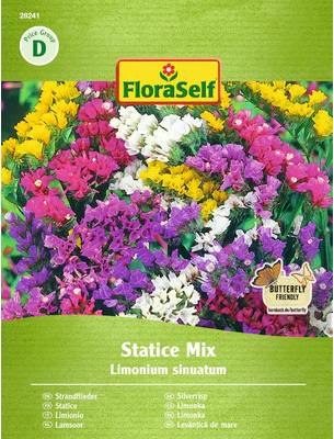 Blomsterfrö Risp Statice Mix