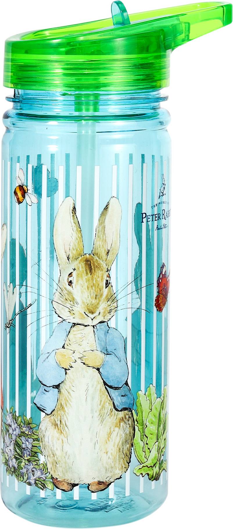 Temu Peter Rabbit 580ml Water Bottle