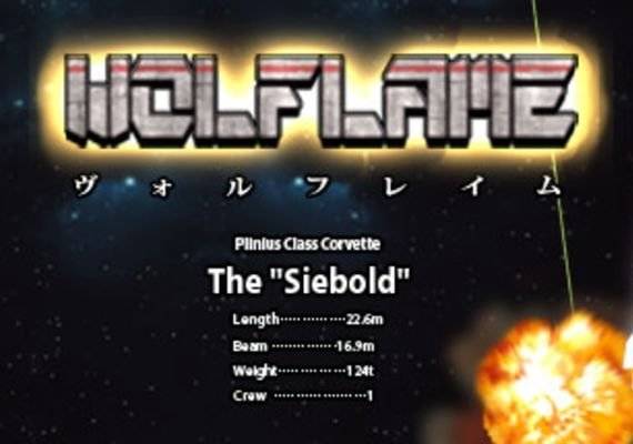 Wolflame PC Steam Key