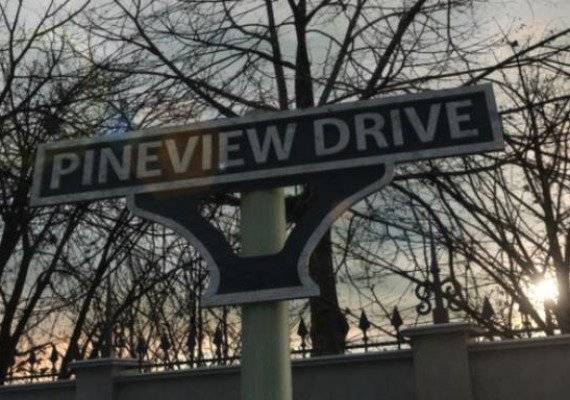 Pineview Drive Global
